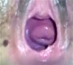 秘密尝试3 mp4