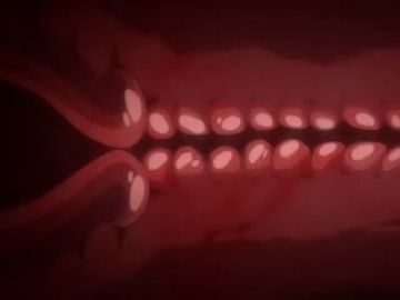 3D 我好羡慕我的闺蜜-骑着中年男子