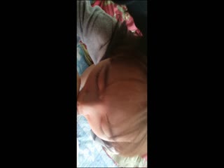 高颜值清纯脸女孩经男友多年调教终变小淫娃 口活精细 拍下屁股就知道撅起来等操