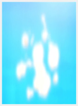 ファイティング オブ エクスタシー Vol.1「女格闘家...