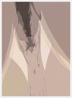 魔界天使ジブリール2 Vol.1 诞生!新ジブリール