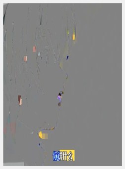 MAPLE COLORS 第一幕