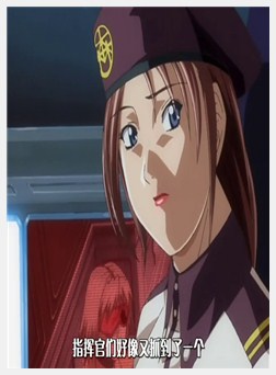 Discipline 最终章