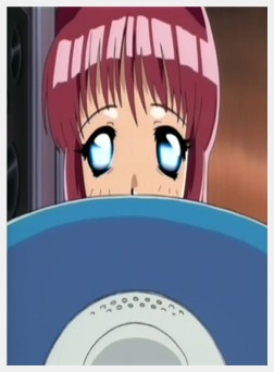 微热姫 ～忏悔の章～