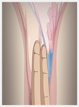 彼女がヤツに抱かれたヒ ～新妻のトキメキ……～