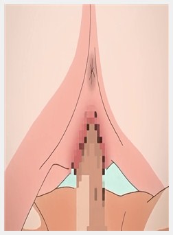 てにおはっ！ ～女の子だってホントはえっちだよ？～...