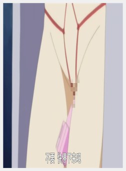 人妻交奸日记 后编