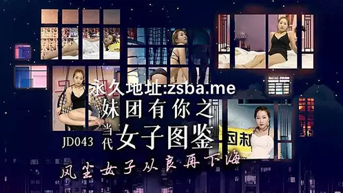 JD043 当代女子图鉴1